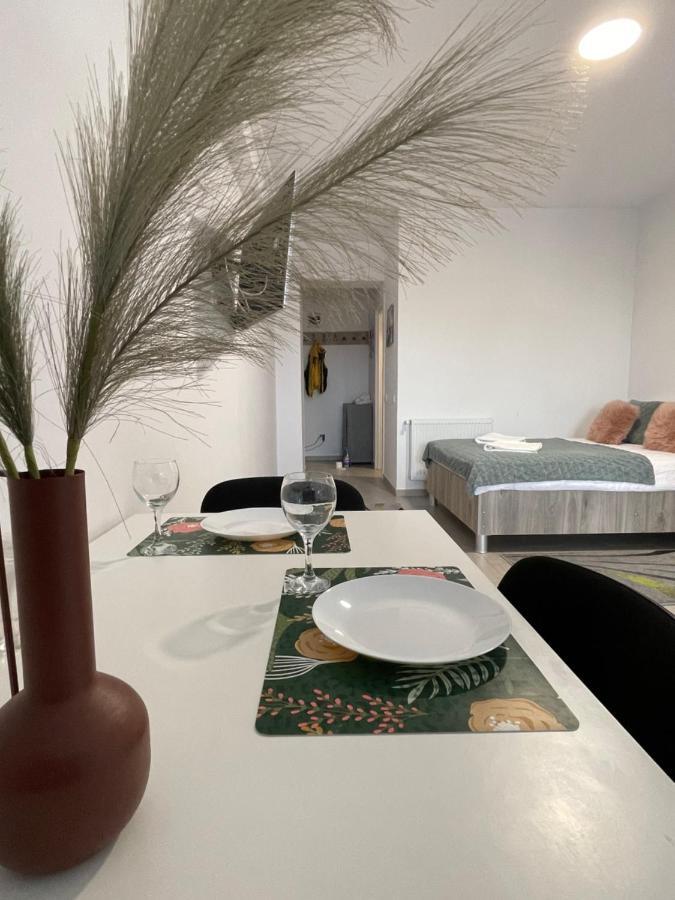 Studio Apartment Palas Mall Яссы Экстерьер фото